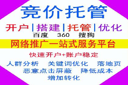 解析SEM推广代运营公司的成功案例及效果